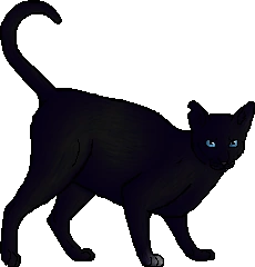 Crowsong Warriors World Wiki Fandom