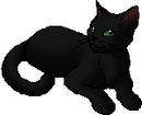 Pinenose.star.png (6 KB) StarClan Version