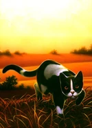 SE-6-FC.png (282 KB) English Language Edition Textless Cover