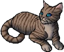 Willow Tail.star.png (22 KB) StarClan Version