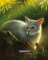 Needletail in The Ultimate Guide: Updated and Expanded Edition