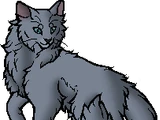 Minor characters/SkyClan and the Stranger (book)