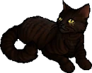 Kestrelwing.star.png (17 KB) StarClan Version