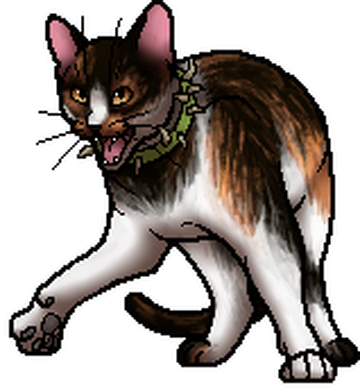 According to the Warriors Wiki: Bloodclan cats 