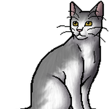 Swift Minnow Warriors Wiki Fandom