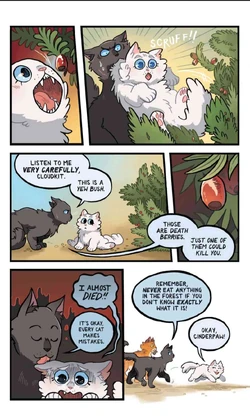 Cinderpaw saving Cloudkit