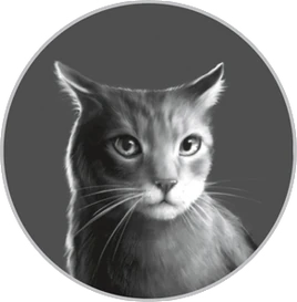 Onestar's Confession/Chapter 27