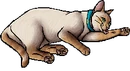 Zelda.kittypet.png (35 KB) Kittypet Version