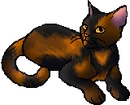 Morningflower.star.alt.png (22 KB) Alternative StarClan Version