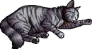 Rileypool.kittypet.png (40 KB) Kittypet Version