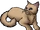 Shyheart