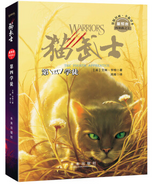 Alternate Simplified Chinese Language Edition Released in China