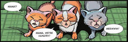 Firekit Stormkit and Harrykit.SS