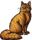 Tigerstar (AVoS).warrior.alt.png (28 KB) Alternative Warrior Version