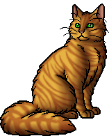 Tigerstar II Tigerheart Warrior Cats Poster for Sale by alicialynne