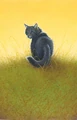 Cinderpelt in The Ultimate Guide