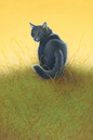 Cinderpelt in The Ultimate Guide