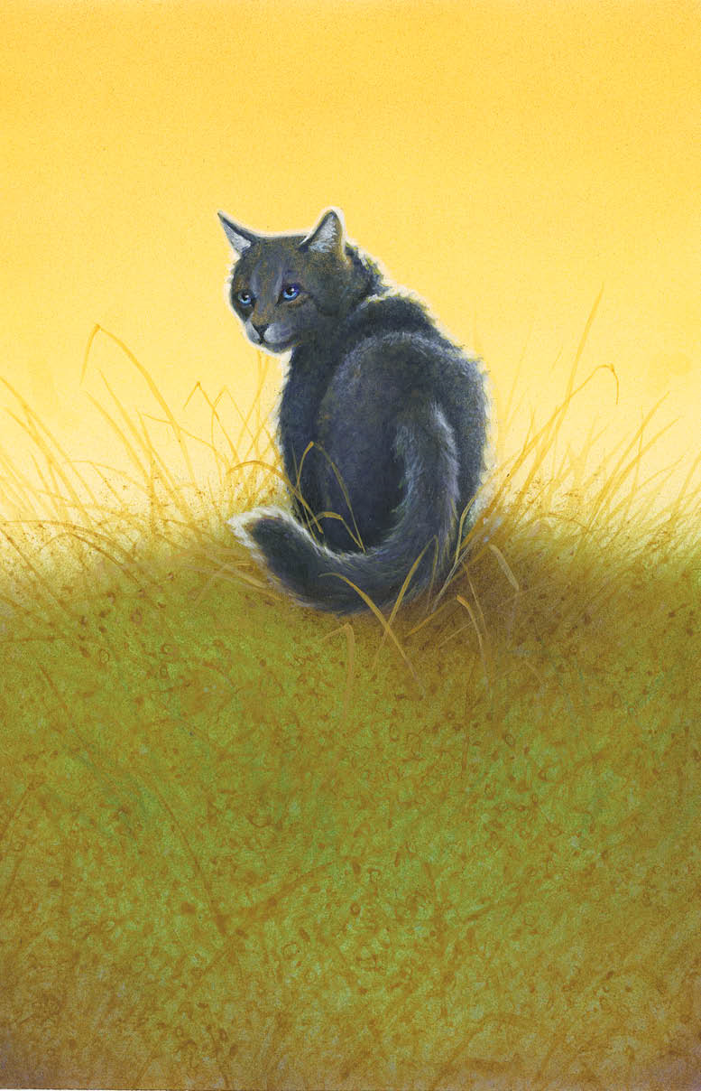 Cinderpelt Warriors Wiki Fandom Cinderpelt Warriors Wiki Fandom