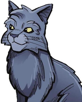 Warrior Cats Jayfeather Plush *new In Bag* Thunder Clan Medicine