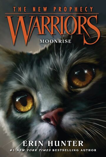 Warrior Cats Moonrise / Recap - TV Tropes