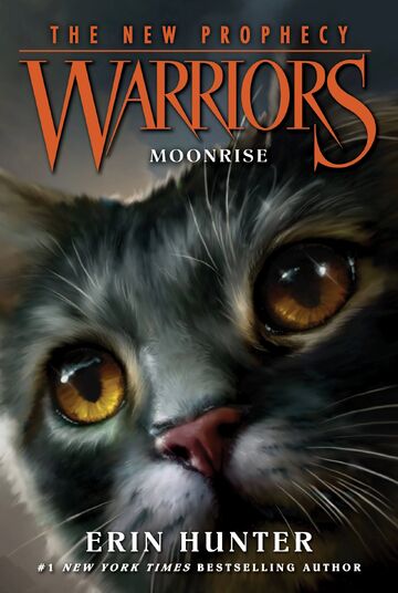 Review: Warrior Cats #2: Fire and Ice — Erin Hunter –