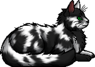 Kitescratch, Warriors Wiki