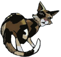 Spottedleaf in SkyClan and the Stranger