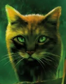 Sparkpelt on the cover of Thunder