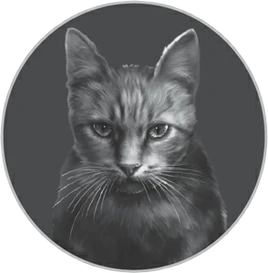 Squirrelflight&#39;s Hope/Chapter 29