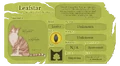 Leafstar.Website8.png (1.87 MB) Leafstar's Warriors website fact sheet for A Vision of Shadows