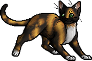 Cherrytail.apprentice