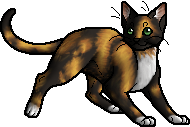 Alle WarriorCats- Clanzeichen auf einmal?  Warrior cats, Warrior cats clans,  Warrior cat