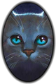 Alternate artwork of Jayfeather on the cover of The Sight