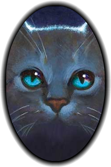 jayfeather warrior cats Thunder the Silkwing - Illustrations ART