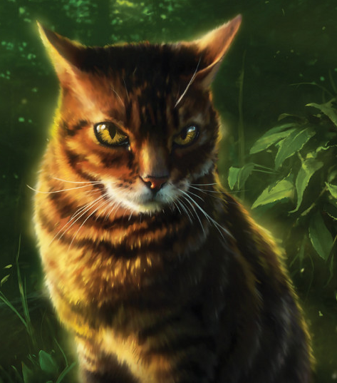 Tigerstar (AVoS), Warriors Wiki