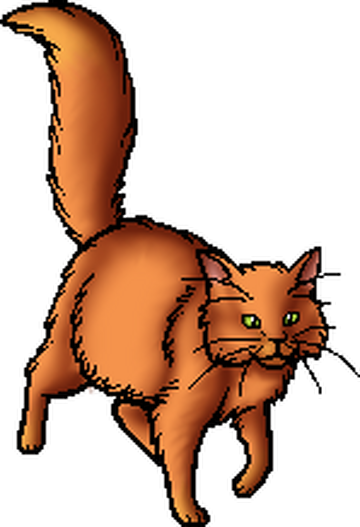 Kitescratch, Warriors Wiki