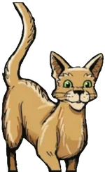 Nettlesplash was one of the warriors who chose to stay behind with his mate Mintfur and their newborn kits