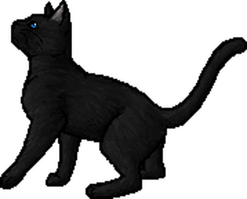 Crowfeather (Warriorcats)