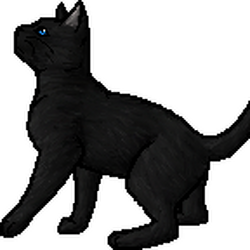 ShadowClan, Warrior Clan Cats Wiki