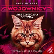 Polish Audiobook Released in Poland