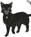 Ravenpaw in Graystripe's Adventure