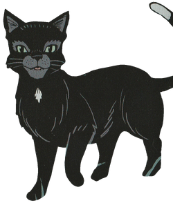 everyone who likes ravenpaw may raise their paws in the comments 🐾 #r
