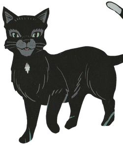 Warrior Cats - Ravenpaw:. — Weasyl