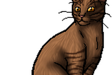 My Warrior Cats Characters! (OC Wiki) - Sunnyeyes - Wattpad