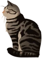 Wafflepelt.silhouette.png (87 KB) Wafflepelt's silhouette on the Warriors website