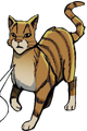 Leafpool in Winds of Change