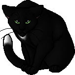 everyone who likes ravenpaw may raise their paws in the comments 🐾 #r