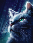 Bluestar on the reprinted cover of A Dangerous Path