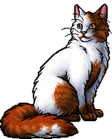 Firestar's Quest, Warriors Wiki