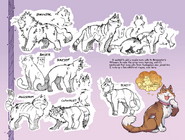 Character sheets